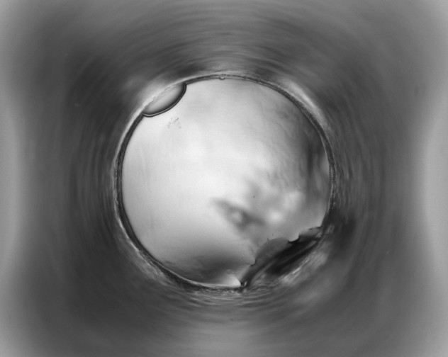X0000086791291200704271823