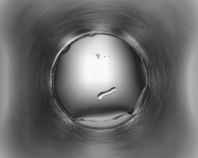 X0000086791292200704271823