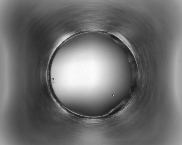 X0000086791293200704271823