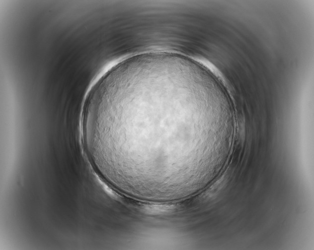 X0000086791294200704271823