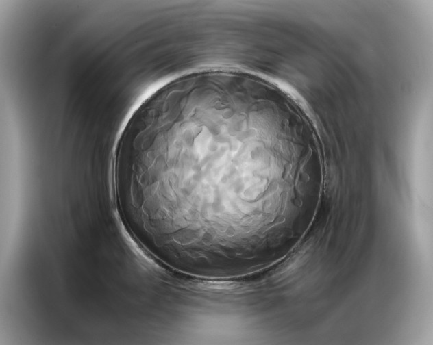 X0000086791295200704271823