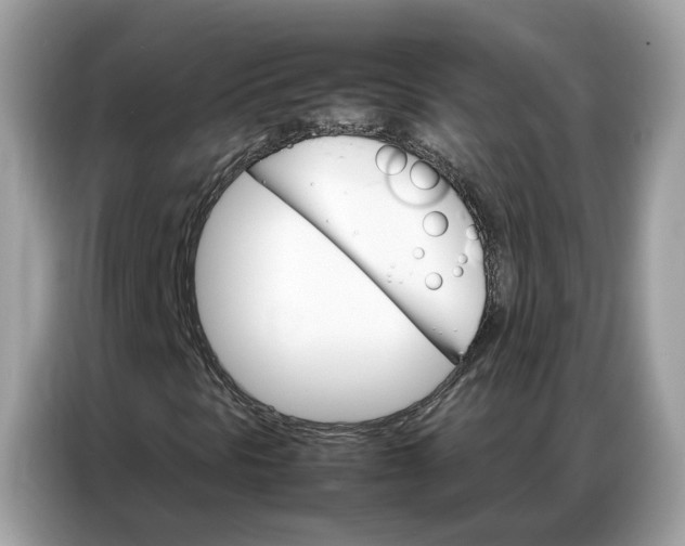 X0000086791297200704271822