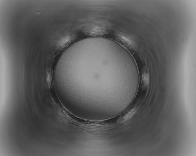 X0000086791300200704271822