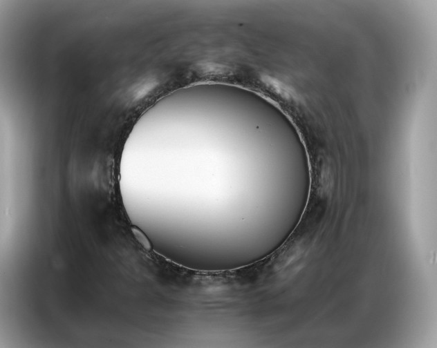 X0000086791301200704271822