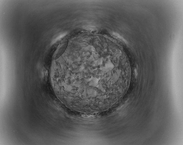 X0000086791302200704271822