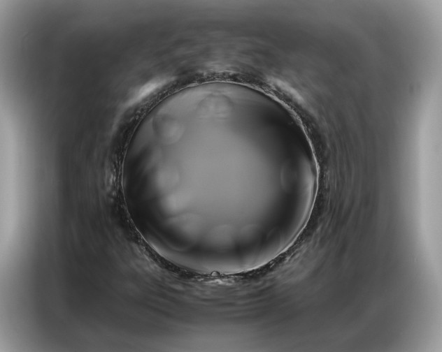 X0000086791303200704271822