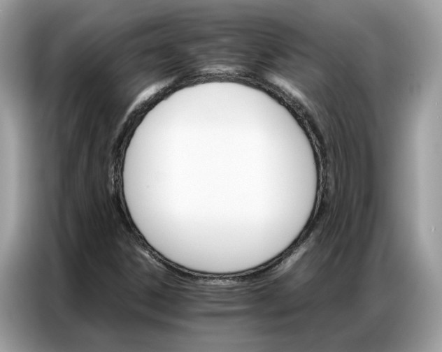 X0000086791306200704271822