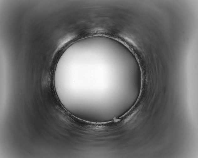 X0000086791309200704271822