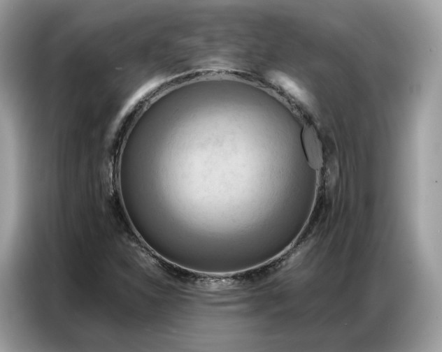X0000086791310200704271822