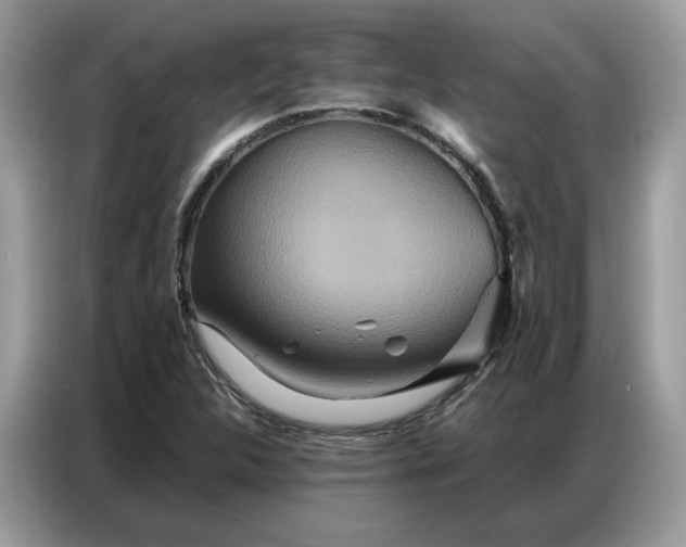 X0000086791312200704271822