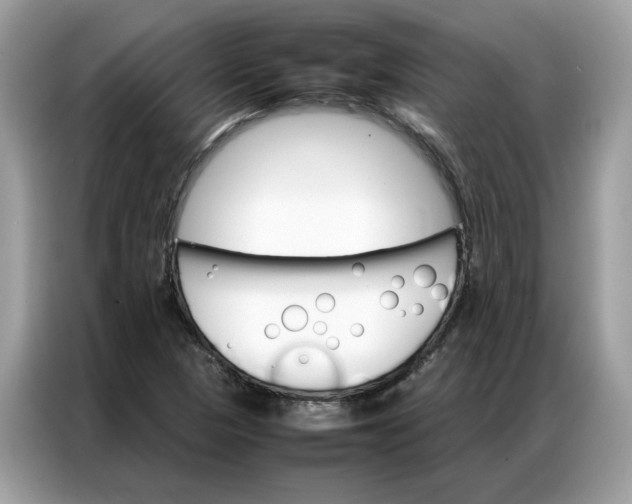 X0000086791313200704271822