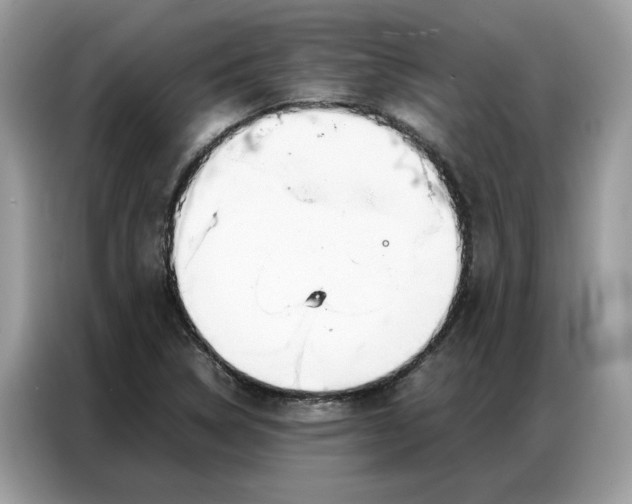 X0000086791314200704271822