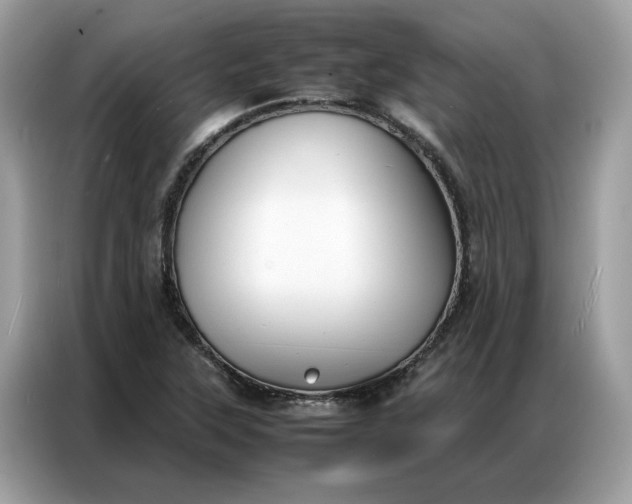 X0000086791315200704271822