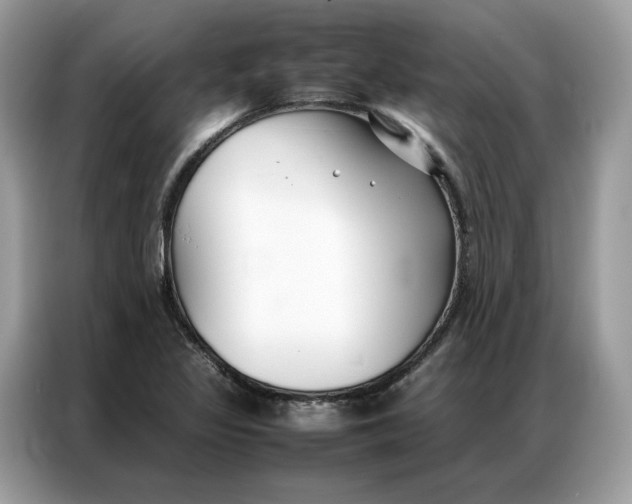 X0000086791317200704271822