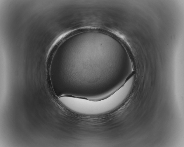 X0000086791319200704271822