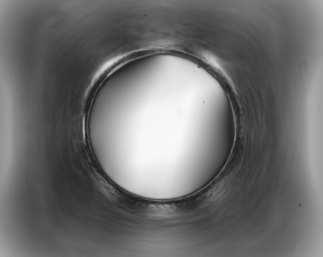 X0000086791320200704271822