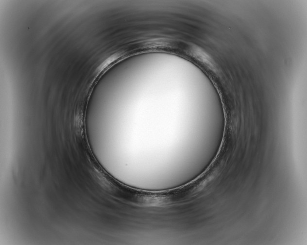 X0000086791321200704271822