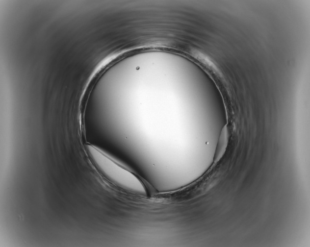 X0000086791324200704271822