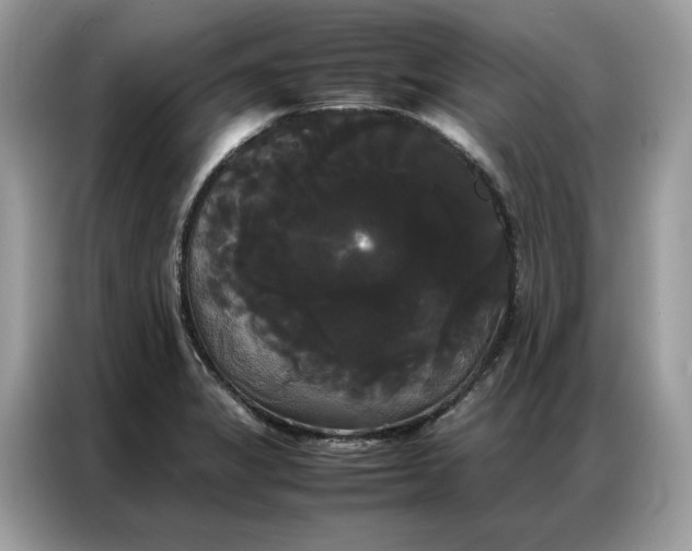 X0000086791325200704271822