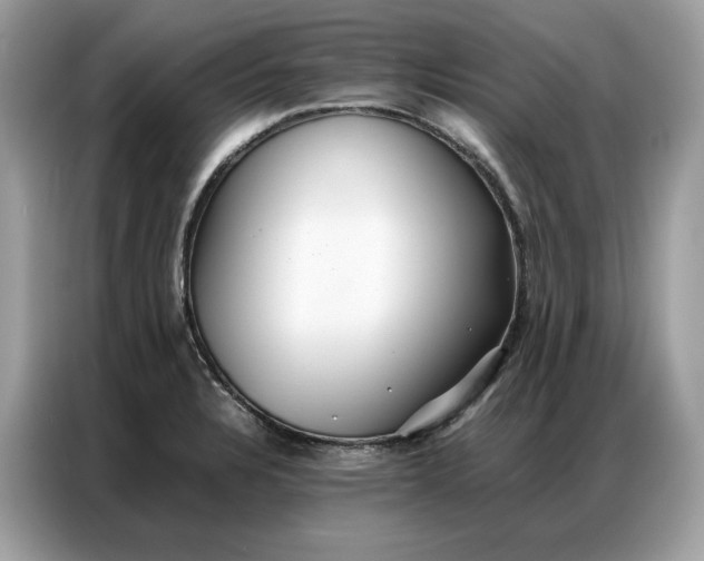 X0000086791328200704271822
