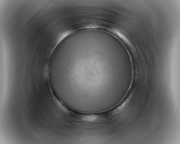 X0000086791329200704271822