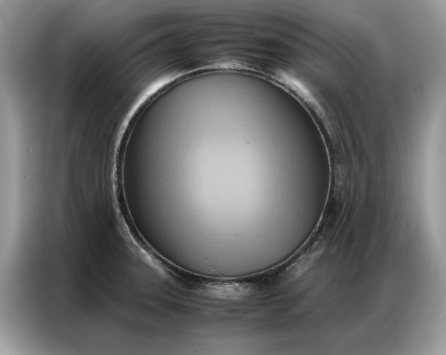 X0000086791331200704271822