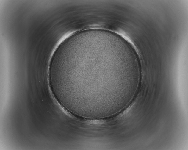 X0000086791333200704271823