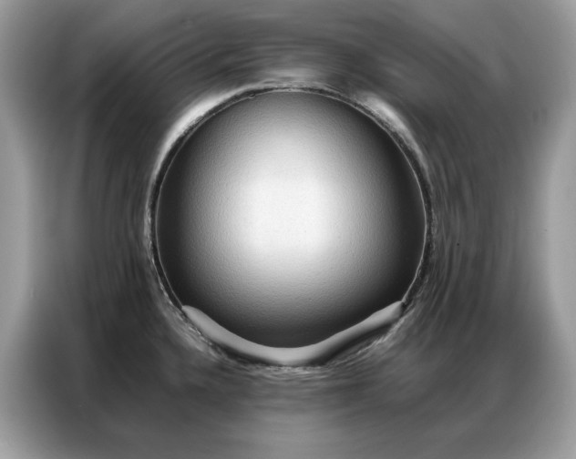 X0000086791336200704271823