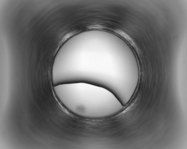 X0000086791337200704271823