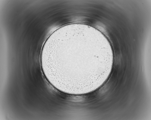 X0000086791338200704271823