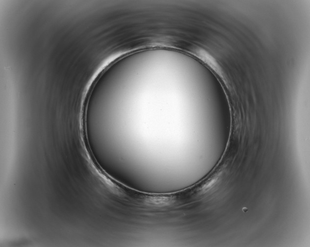 X0000086791339200704271823