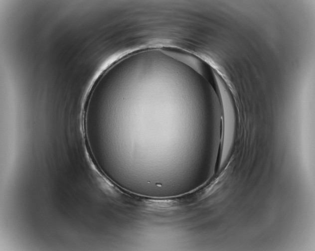 X0000086791342200704271823