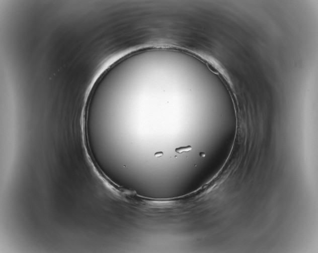 X0000086791343200704271823