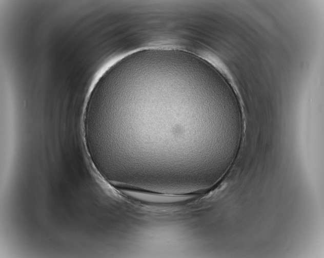 X0000086791344200704271823