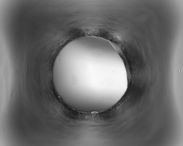 X0000086791345200704271822