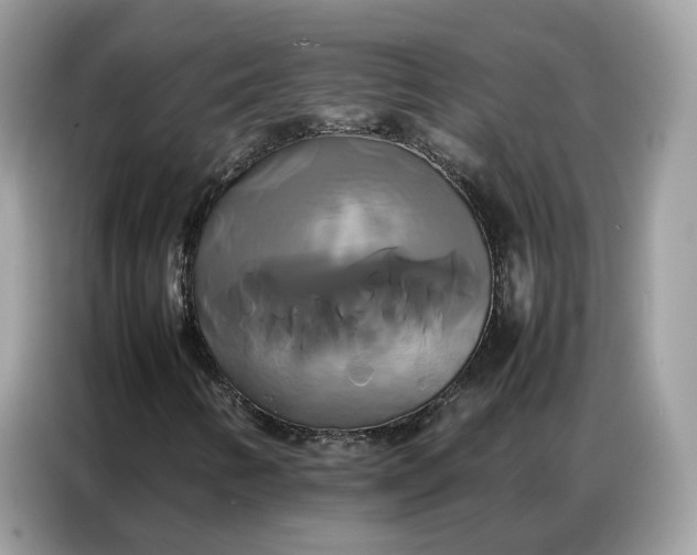 X0000086791346200704271822
