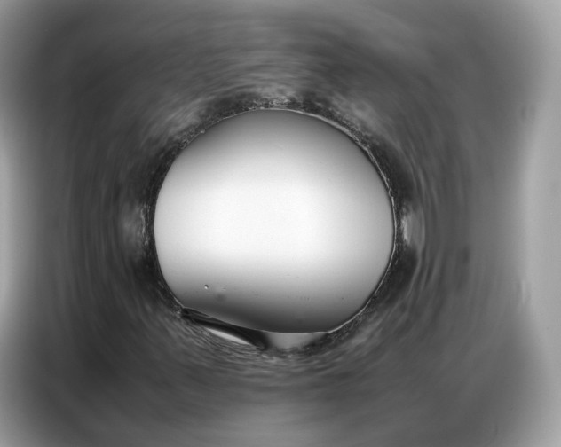 X0000086791347200704271822
