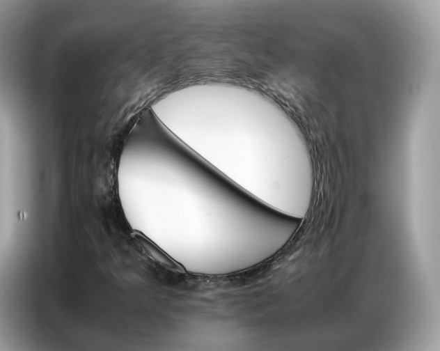 X0000086791349200704271822