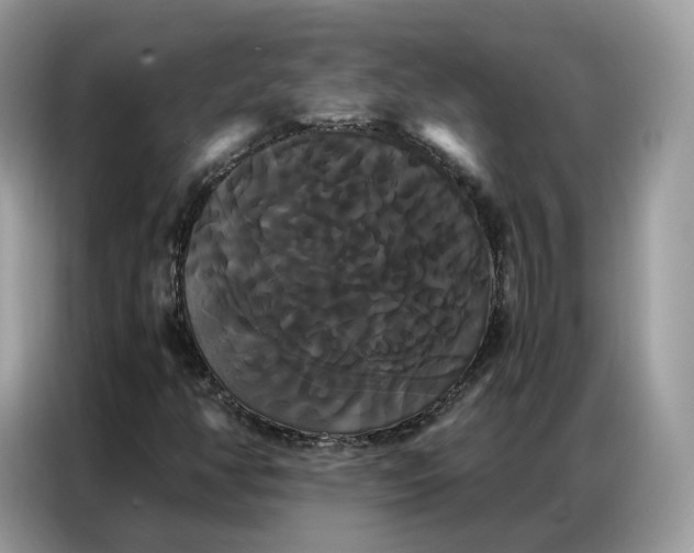 X0000086791350200704271822