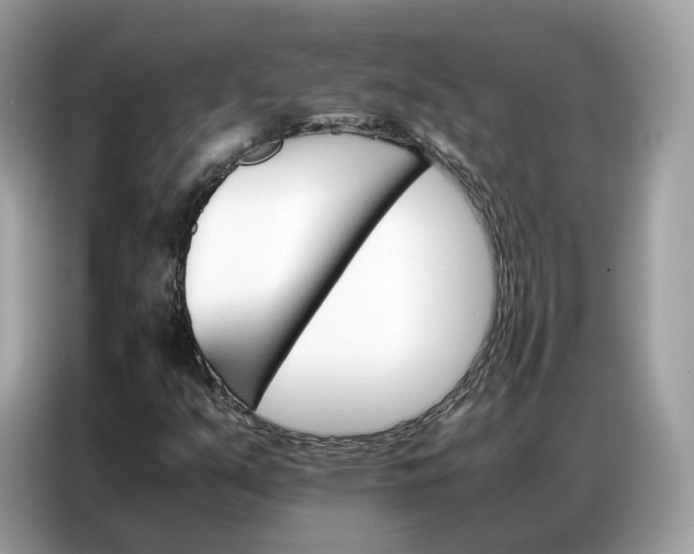 X0000086791351200704271822