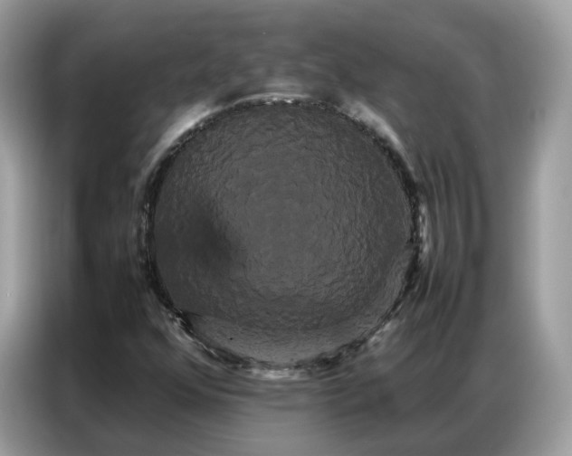 X0000086791352200704271822