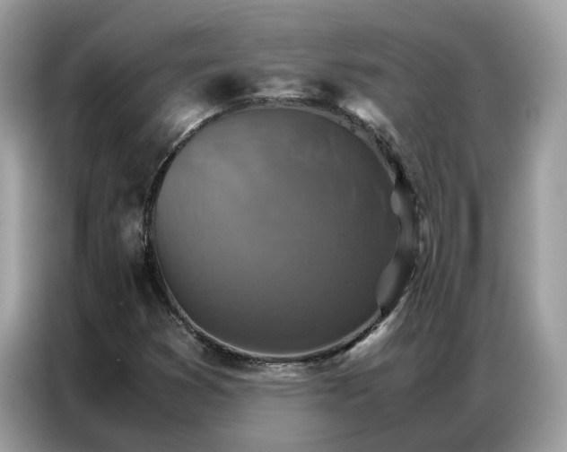 X0000086791353200704271822