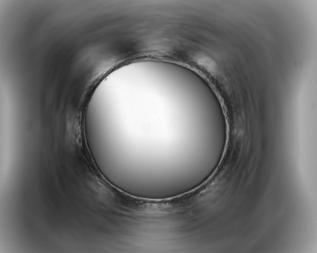 X0000086791354200704271822