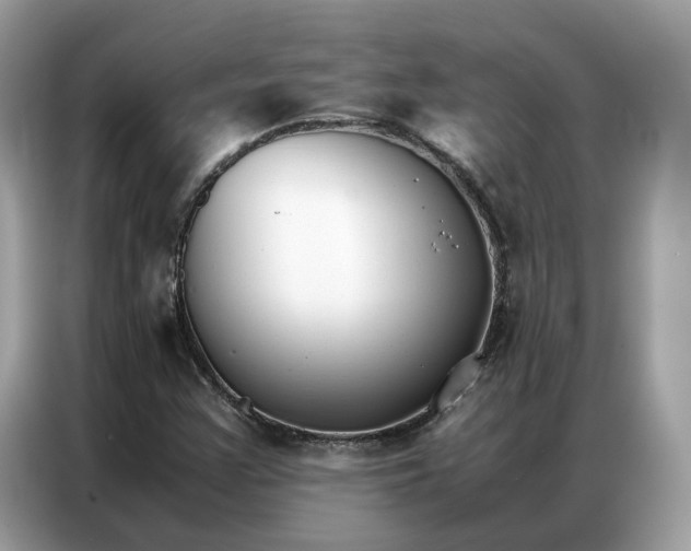 X0000086791355200704271822