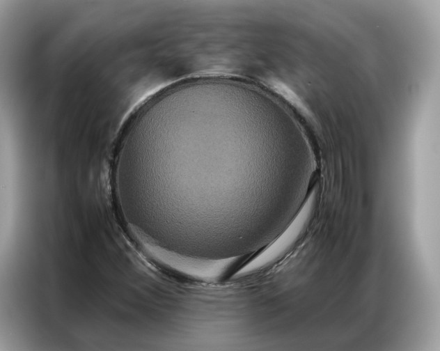 X0000086791356200704271822