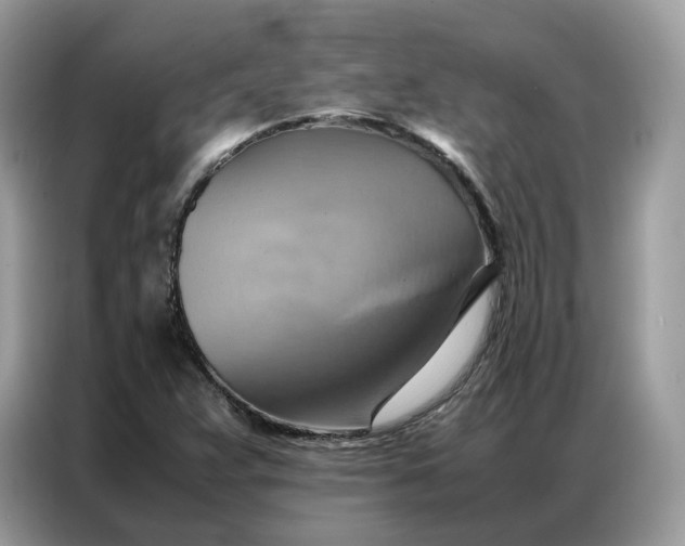 X0000086791359200704271822