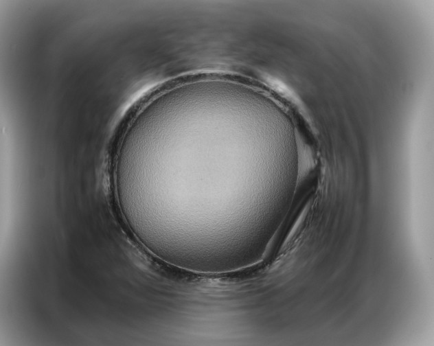 X0000086791360200704271822