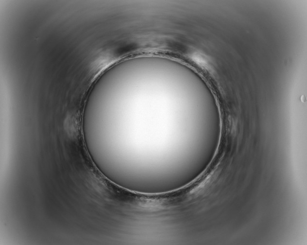 X0000086791361200704271822