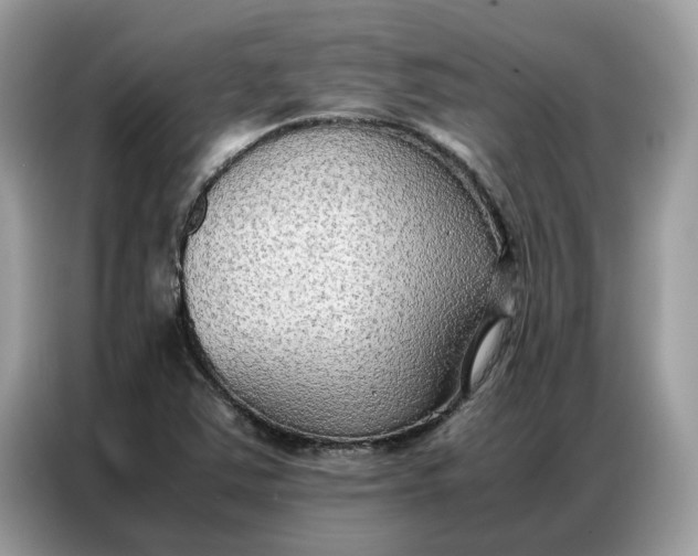 X0000086791363200704271822