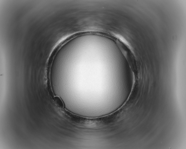 X0000086791364200704271822